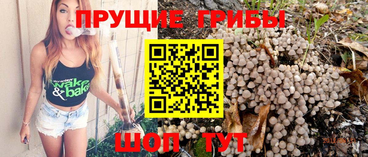 Галлюциногенные грибы мухоморы Новый Уренгой