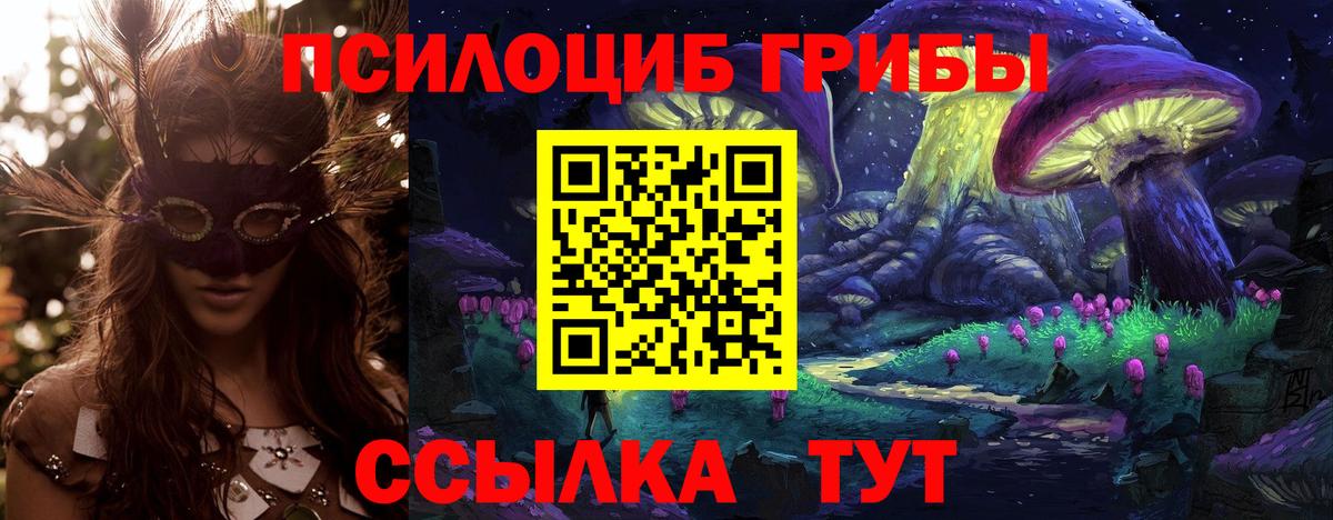сколько стоит  Псилоцибиновые грибы ЛСД  Вход с VPN  Новый Уренгой 